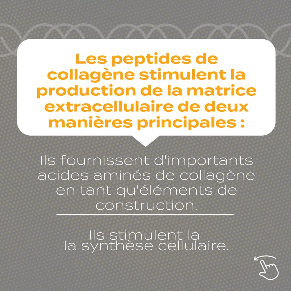 Peptides de collagène