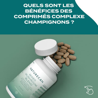 Complexe champignons - comprimés